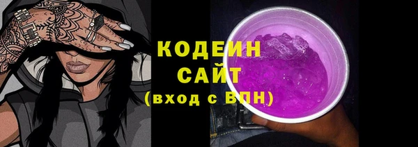 шишки Карпинск