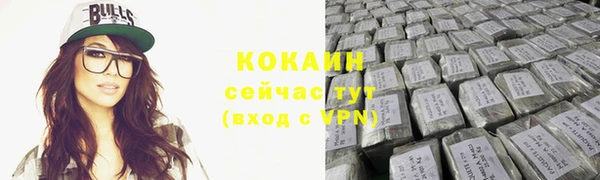 тгк Богданович